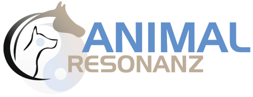 Animal-Resonanz